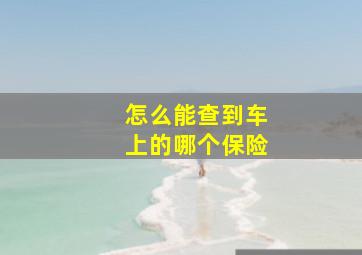 怎么能查到车上的哪个保险