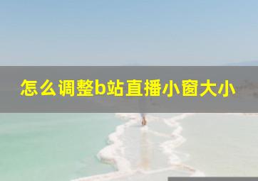 怎么调整b站直播小窗大小