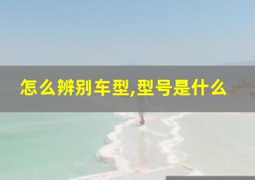 怎么辨别车型,型号是什么