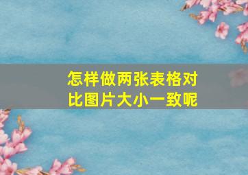 怎样做两张表格对比图片大小一致呢