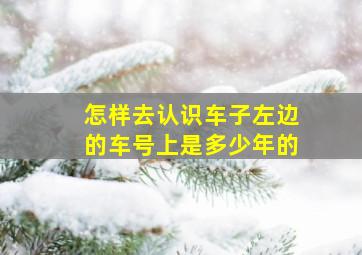 怎样去认识车子左边的车号上是多少年的