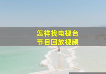 怎样找电视台节目回放视频