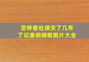 怎样查社保交了几年了记录明细呢图片大全