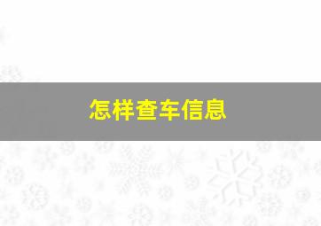 怎样查车信息