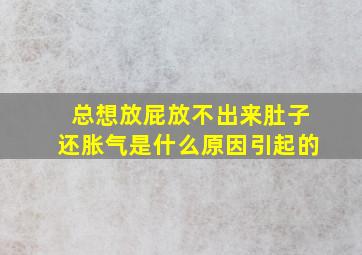 总想放屁放不出来肚子还胀气是什么原因引起的