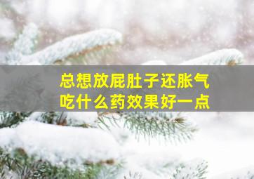 总想放屁肚子还胀气吃什么药效果好一点