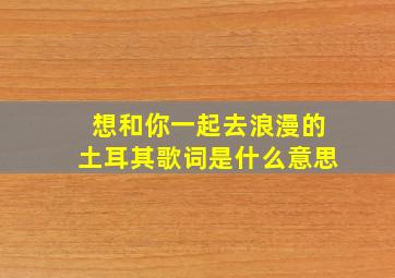 想和你一起去浪漫的土耳其歌词是什么意思