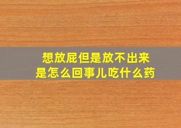 想放屁但是放不出来是怎么回事儿吃什么药