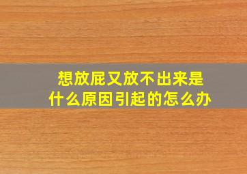 想放屁又放不出来是什么原因引起的怎么办