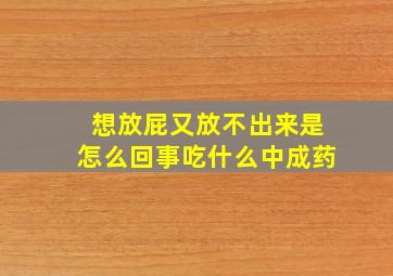 想放屁又放不出来是怎么回事吃什么中成药