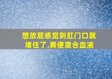 想放屁感觉到肛门口就堵住了,粪便混合血液