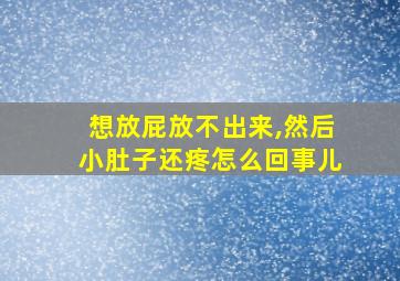 想放屁放不出来,然后小肚子还疼怎么回事儿