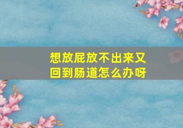 想放屁放不出来又回到肠道怎么办呀