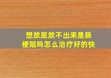 想放屁放不出来是肠梗阻吗怎么治疗好的快