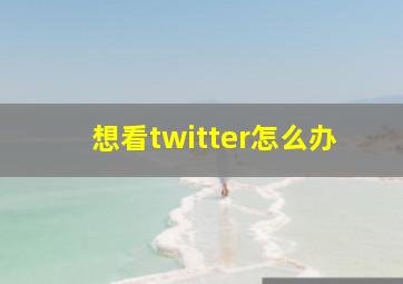 想看twitter怎么办