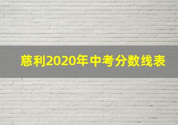 慈利2020年中考分数线表