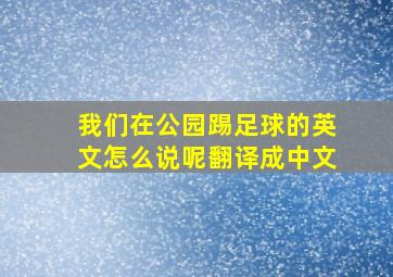 我们在公园踢足球的英文怎么说呢翻译成中文