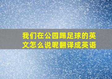 我们在公园踢足球的英文怎么说呢翻译成英语