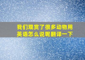 我们观赏了很多动物用英语怎么说呢翻译一下