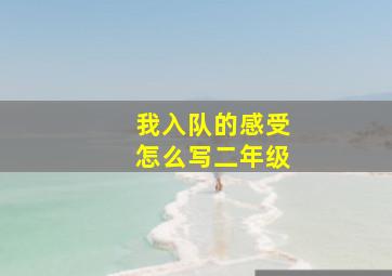 我入队的感受怎么写二年级