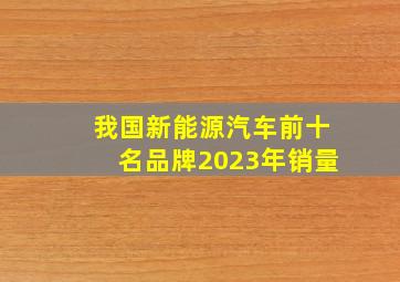 我国新能源汽车前十名品牌2023年销量