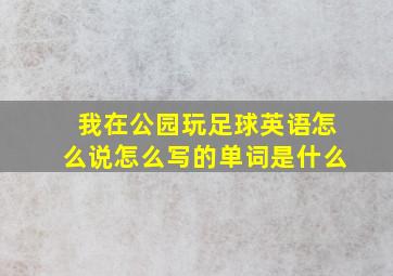 我在公园玩足球英语怎么说怎么写的单词是什么