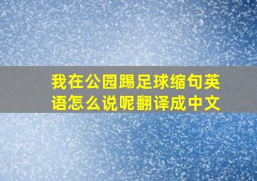 我在公园踢足球缩句英语怎么说呢翻译成中文