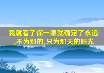 我就看了你一眼就确定了永远,不为别的,只为那天的阳光