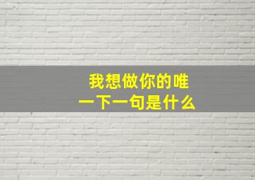 我想做你的唯一下一句是什么