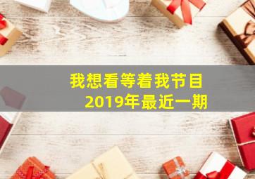 我想看等着我节目2019年最近一期