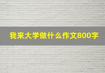 我来大学做什么作文800字