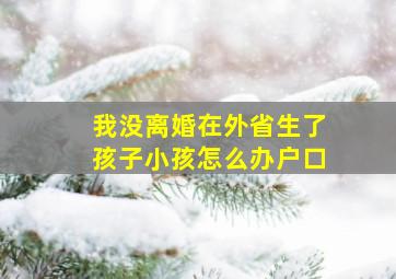 我没离婚在外省生了孩子小孩怎么办户口