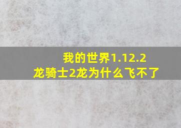 我的世界1.12.2龙骑士2龙为什么飞不了