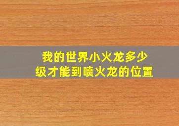 我的世界小火龙多少级才能到喷火龙的位置