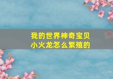 我的世界神奇宝贝小火龙怎么繁殖的