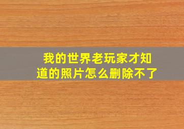 我的世界老玩家才知道的照片怎么删除不了