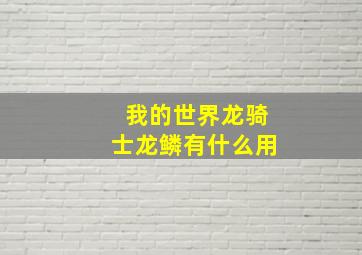 我的世界龙骑士龙鳞有什么用