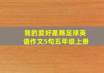 我的爱好是踢足球英语作文5句五年级上册