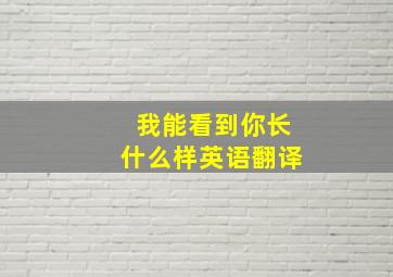 我能看到你长什么样英语翻译