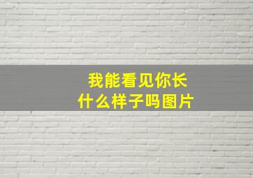 我能看见你长什么样子吗图片