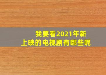 我要看2021年新上映的电视剧有哪些呢