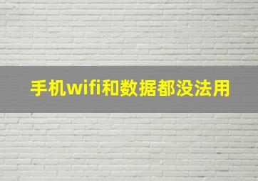 手机wifi和数据都没法用