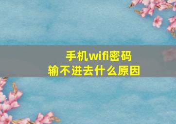 手机wifi密码输不进去什么原因