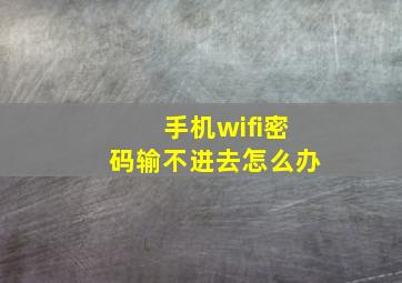 手机wifi密码输不进去怎么办