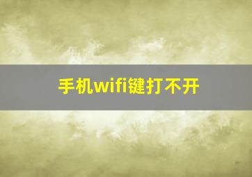 手机wifi键打不开