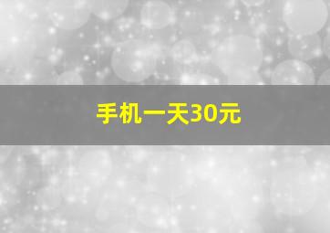 手机一天30元