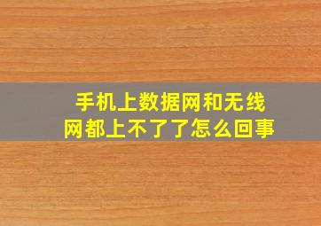 手机上数据网和无线网都上不了了怎么回事