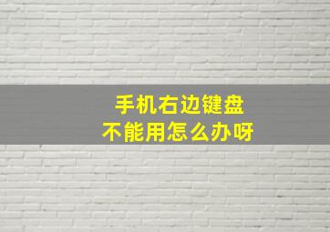 手机右边键盘不能用怎么办呀