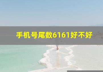 手机号尾数6161好不好