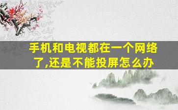 手机和电视都在一个网络了,还是不能投屏怎么办